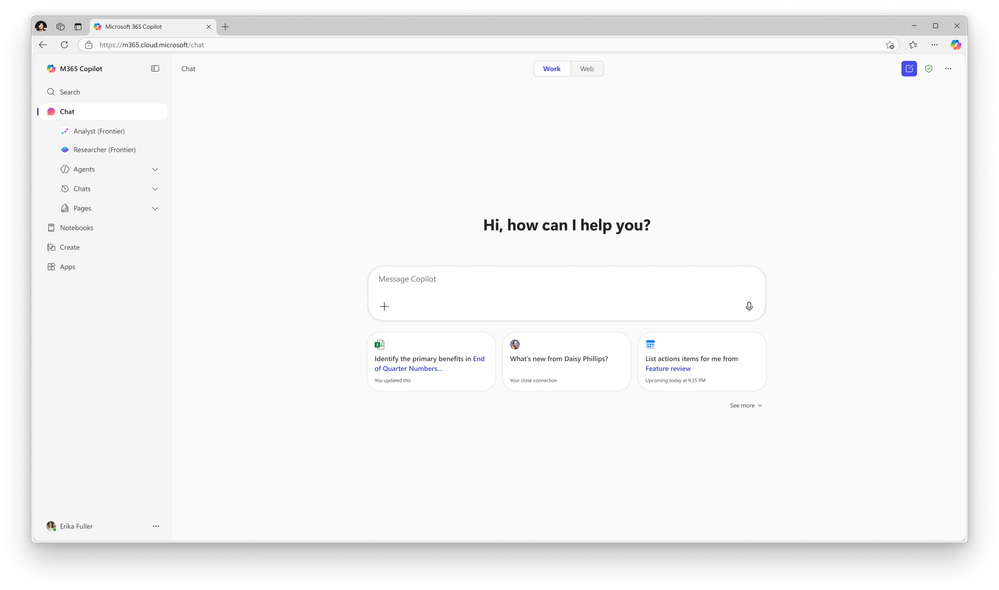 Microsoft Copilot screenshot